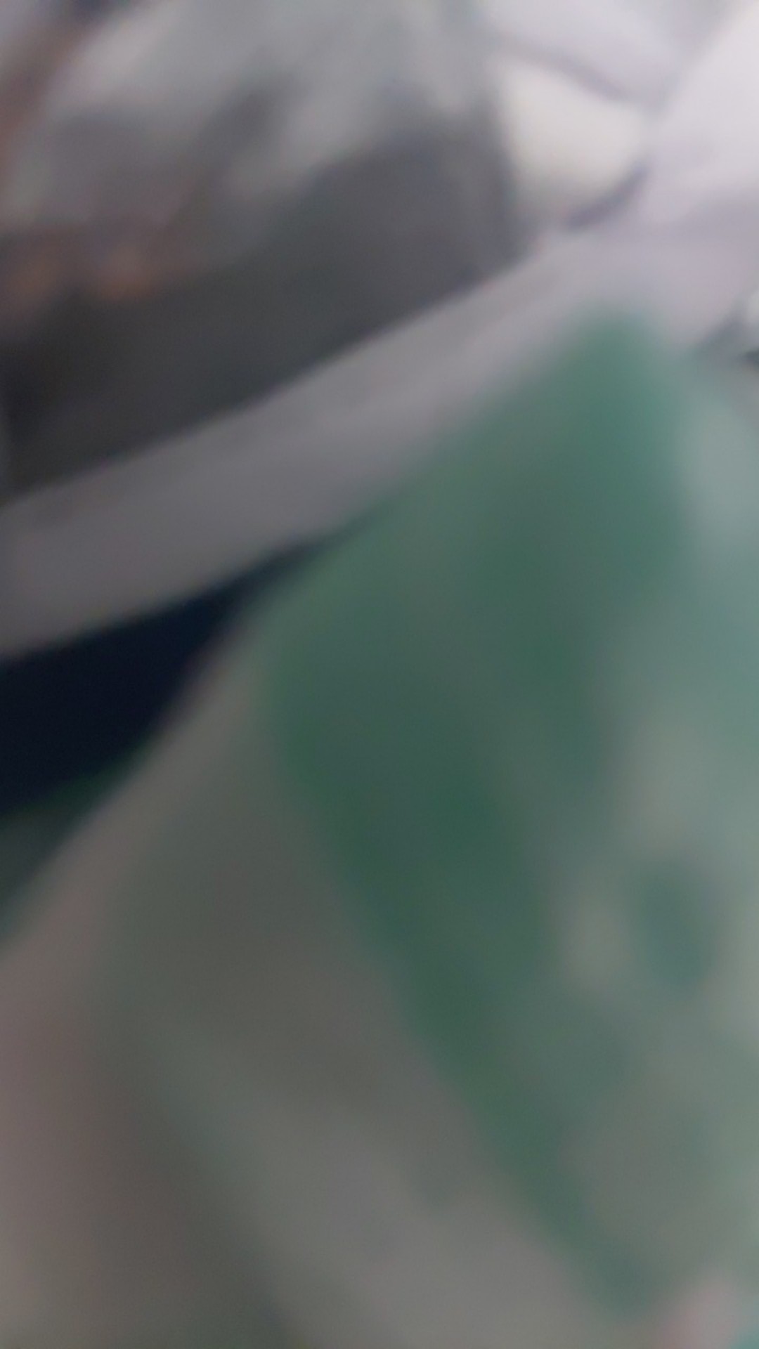 Spon Cuci Piring Busa 027 Goodwife Metalik