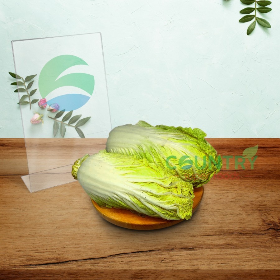 

[1KG] Chinese Cabbage / Kol China / Kubis China | Sawi putih - 1kg