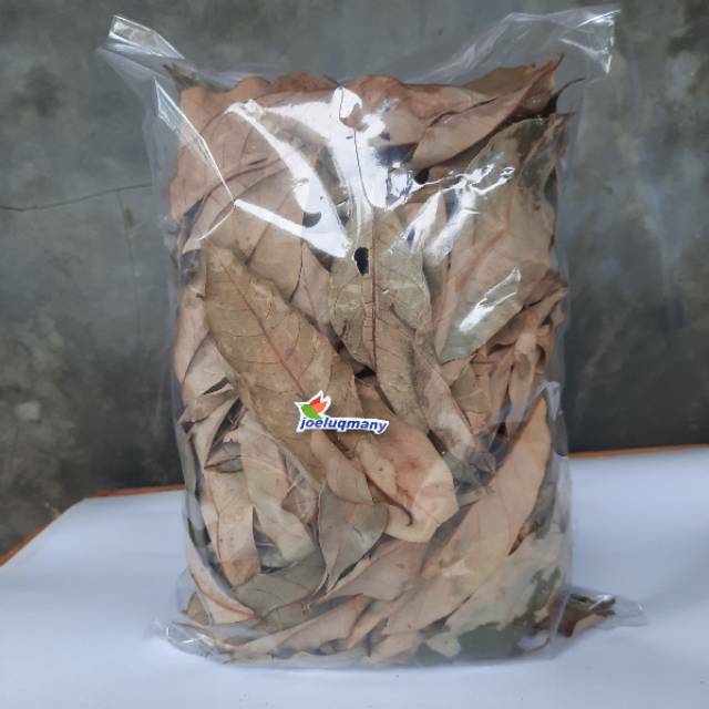 

Daun Pala Kering Pilihan Kualitas Terbaik 100 gram