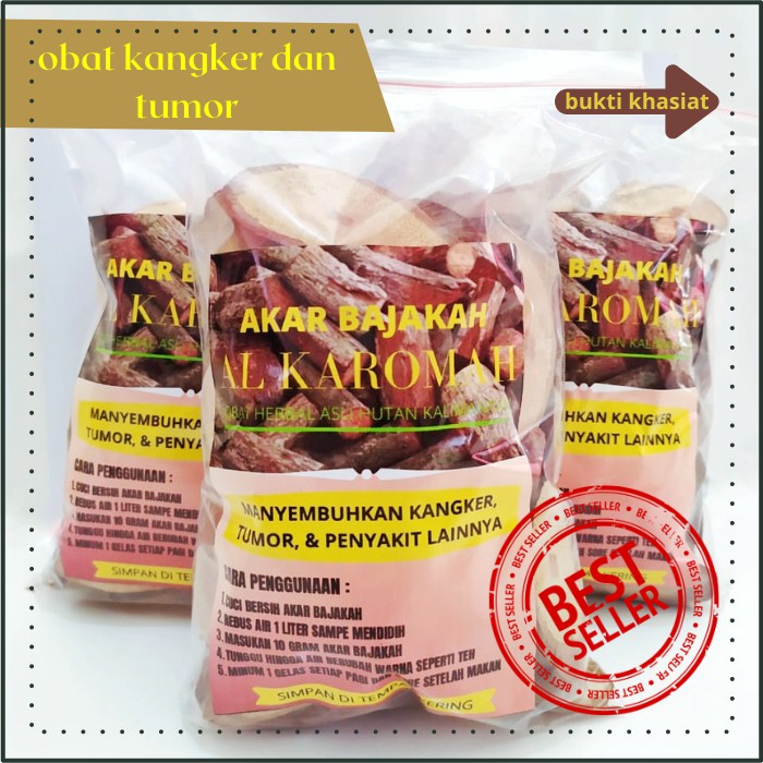 Jual Akar Kayu Bajakah Kalawit Asli Kalimantan Gram Obat Herbal Tumor Kangker Khasiat