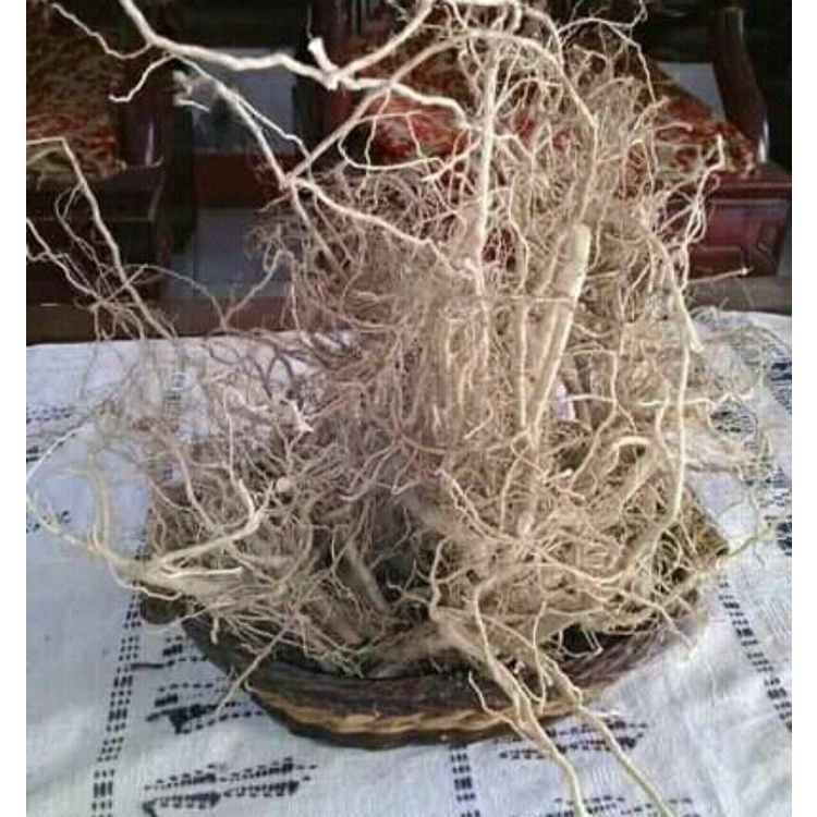 

akar sidaguri fres 300gr