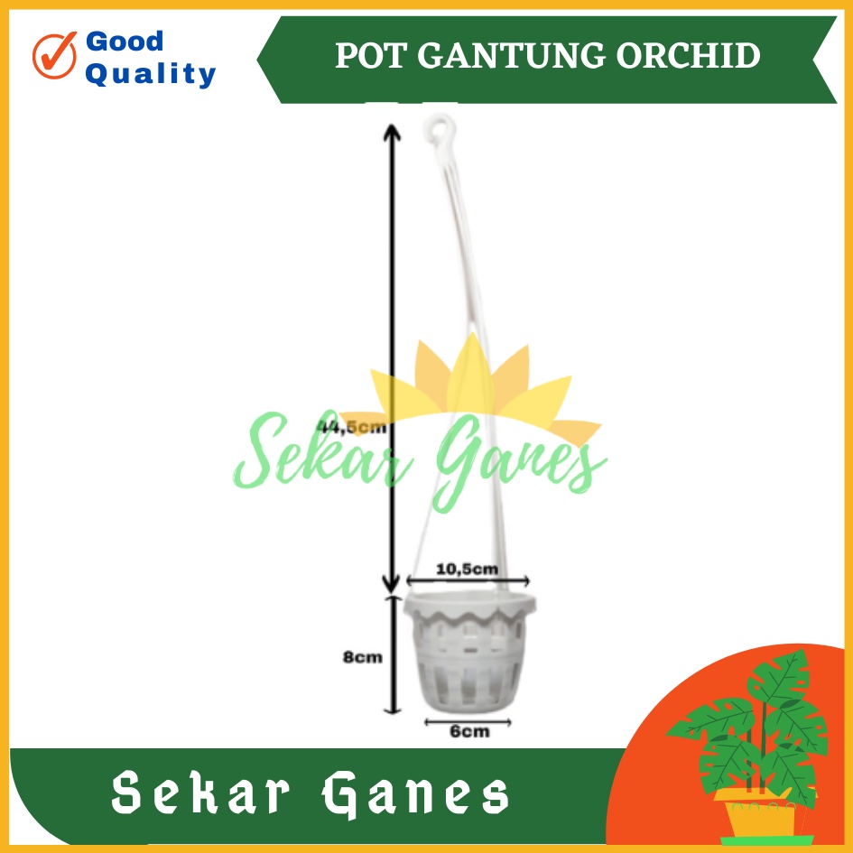 Pot Gantung Anggrek Orchid 10 cm Putih Pot Anggrek Murah Bkn Pot Anggrek Gantung NKT Putih 14