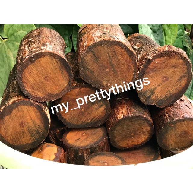 Bajakah original Palangkaraya