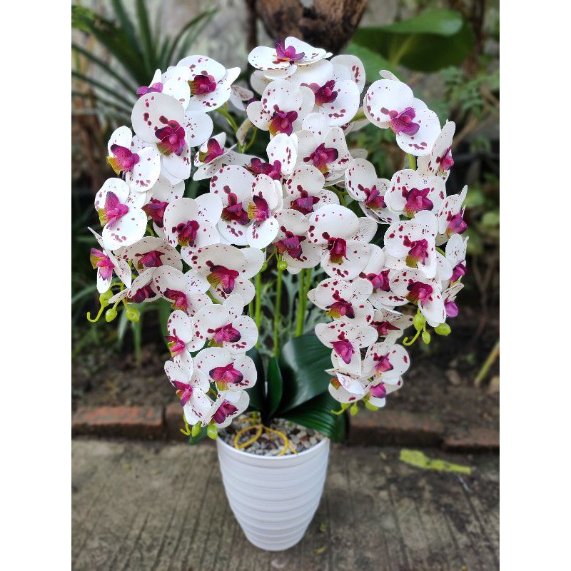 Anggrek latex jumbo artificial pot tawon
