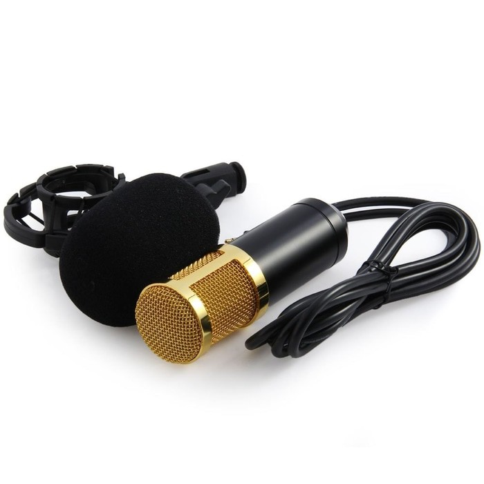Mic BM-800