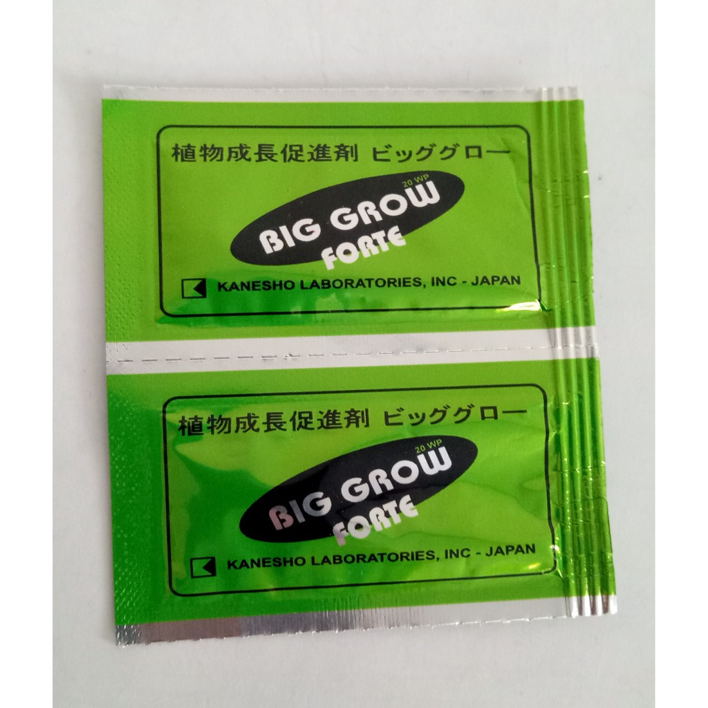 Big Grow Forte 20WP 1gr ZPT Hormon Perangsang Pertumbuhan dan Pemecah Sel pada Tanaman