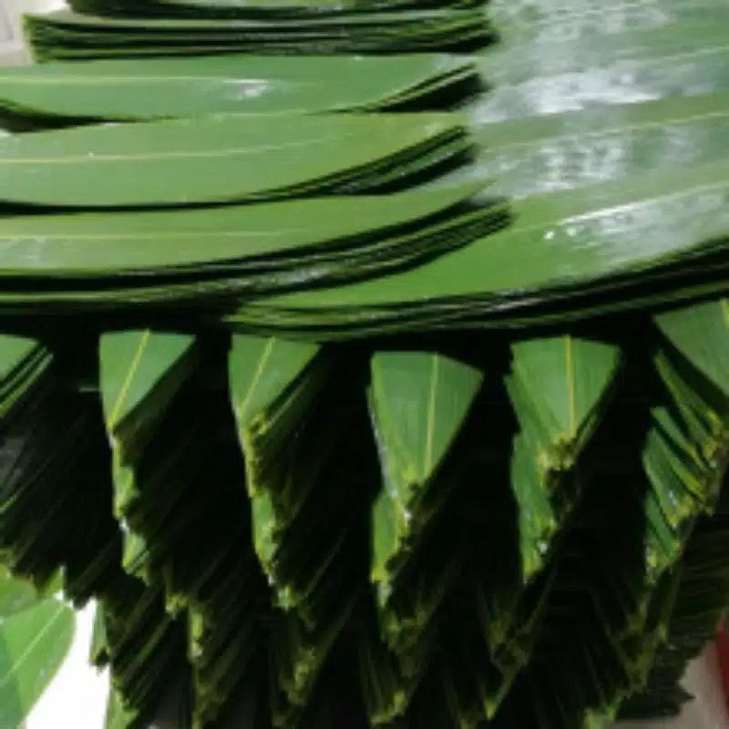 

DAUN BAMBU BUNGKUS BACANG TERMURAH UKURAN JUMBO 100 LEMBAR