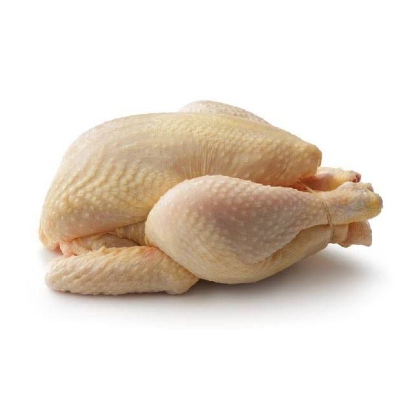 

Ayam Kampung
