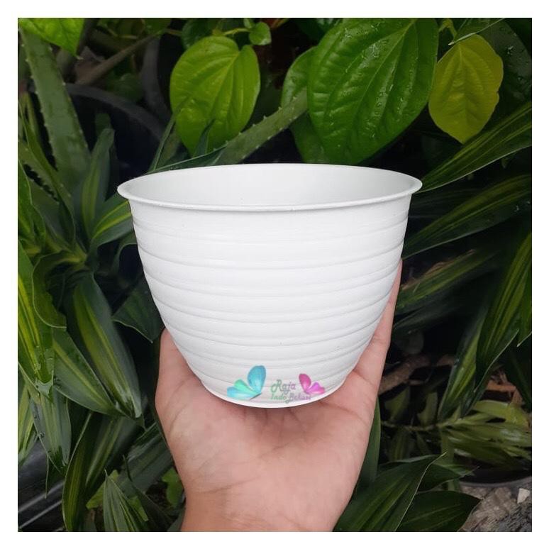 POT TAWON MDN 12 WARNA WARNI POT TAWON 12 cm - POT PLASTIK 12CM VAS BUNGA TAWON BULAT pot tawon 12