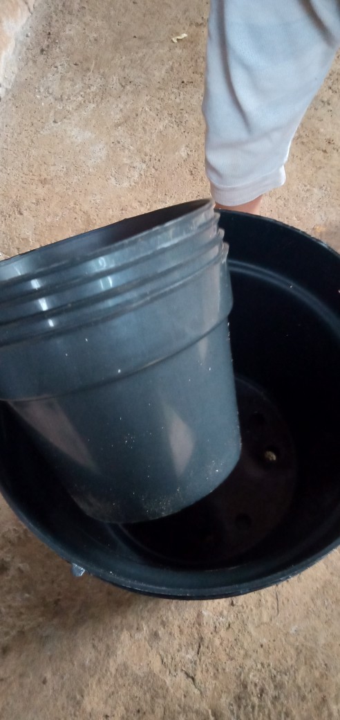 Pot Bunga Plastik 10 Cm Pot Es Krim Plastik Baru Pot Hidroponik