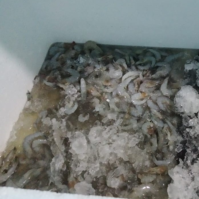 

udang vaname size 90-100 (1 kg)