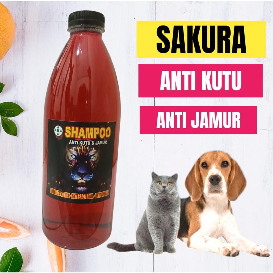 SAMPO KUCING/ANJING 600 ML ANTI KUTU JAMUR DAN MENCEGAH RONTOK