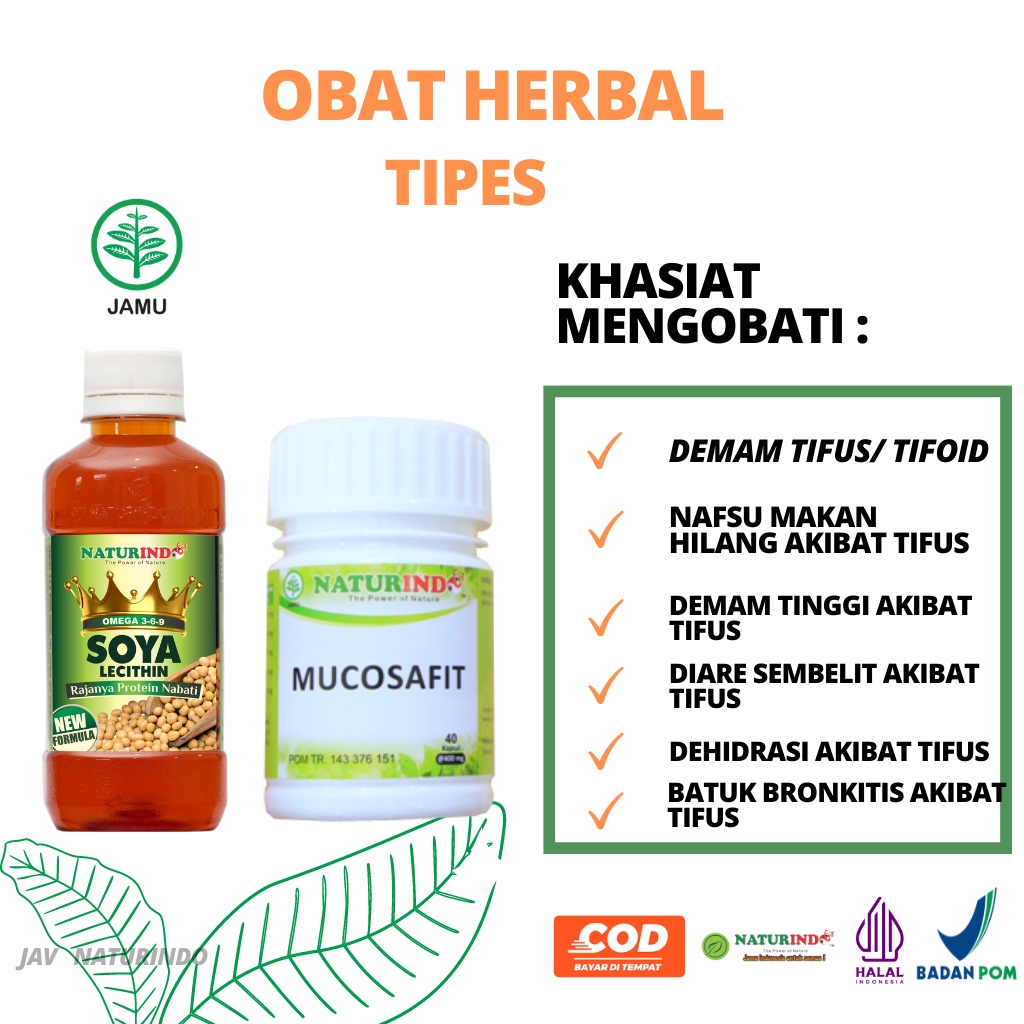 Obat Tipes Tifus Tifoid Demam Tinggi Nafsu Napsu Makan Herbal Tipes Ampuh