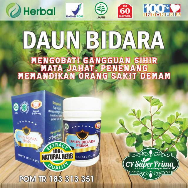 HERBAL EXTRAK DAUN BIDARA SIDR MEMBANTU MEMULIHKAN GANGGUAN SIHIR UNTUK PENENANG