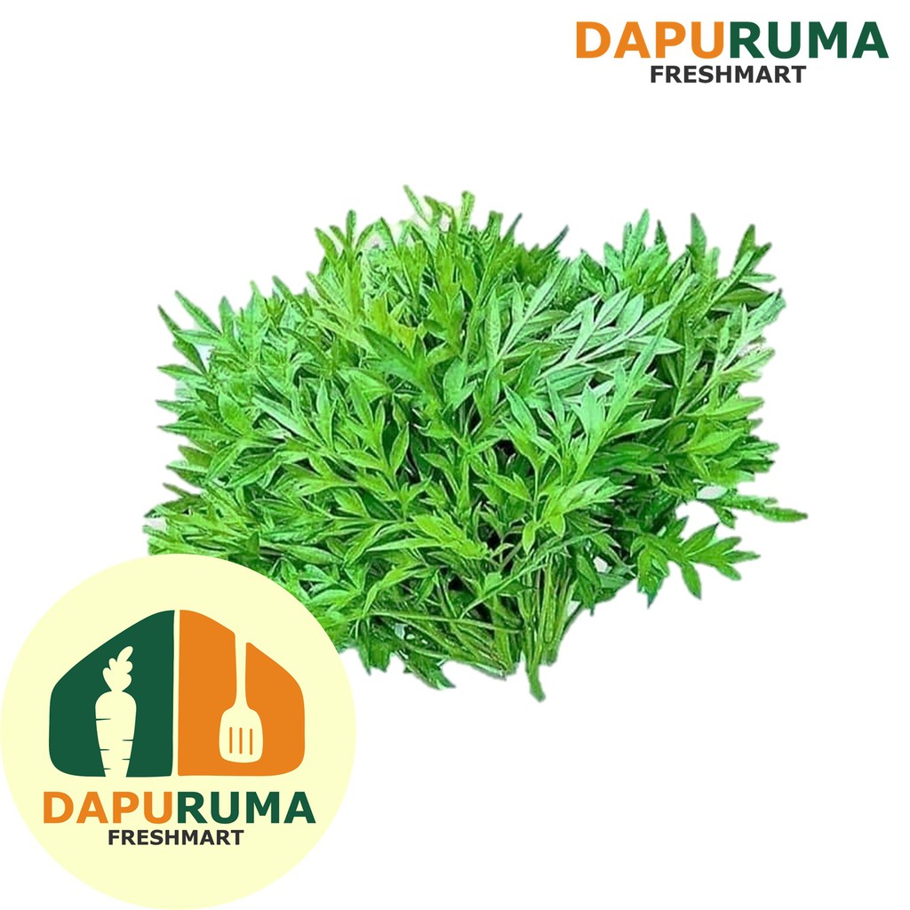 

Daun Kenikir/ Hia Organik @200gr