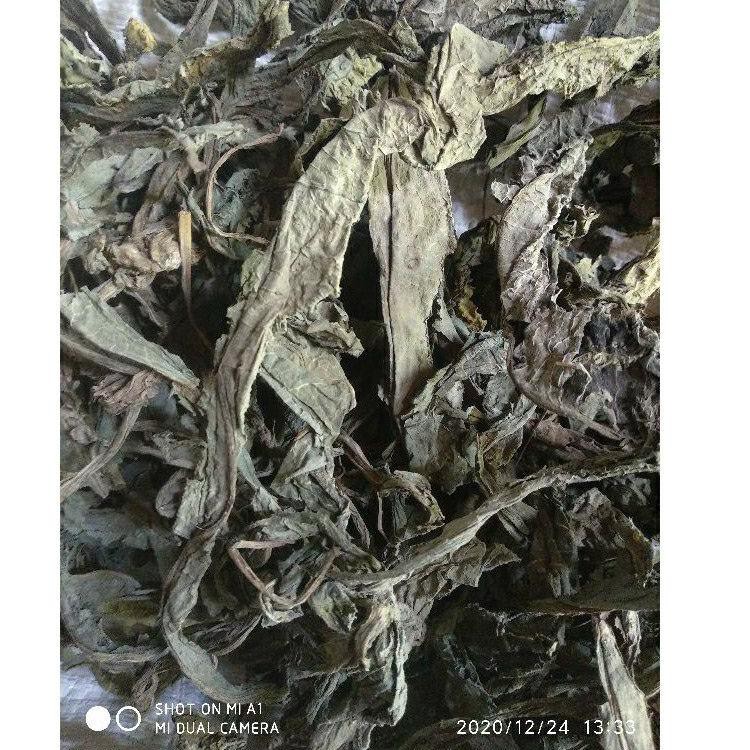 

L6S0 Daun tempuyung 500 gram ter Model Baru