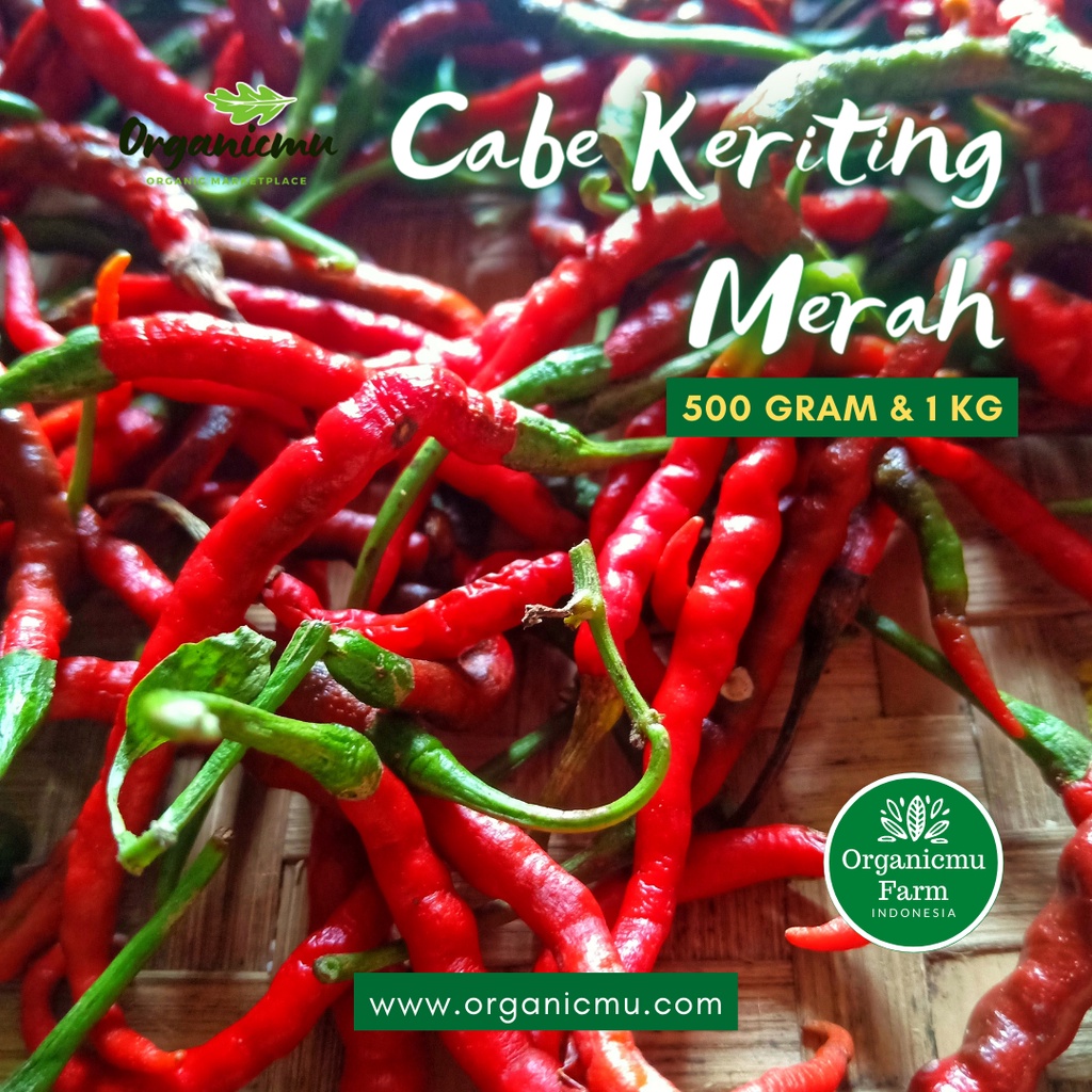 

Organicmu - Cabai Kriting Merah 1 kg