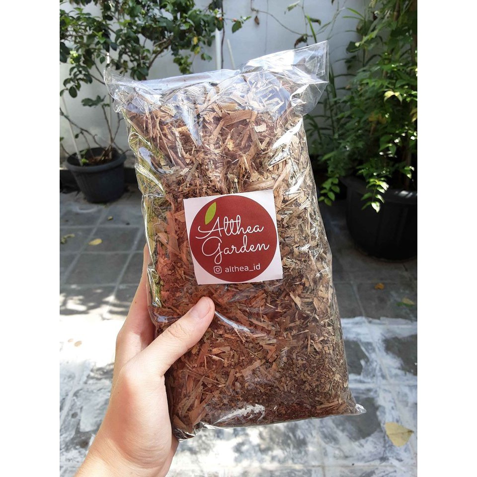 Daun Bambu Kering