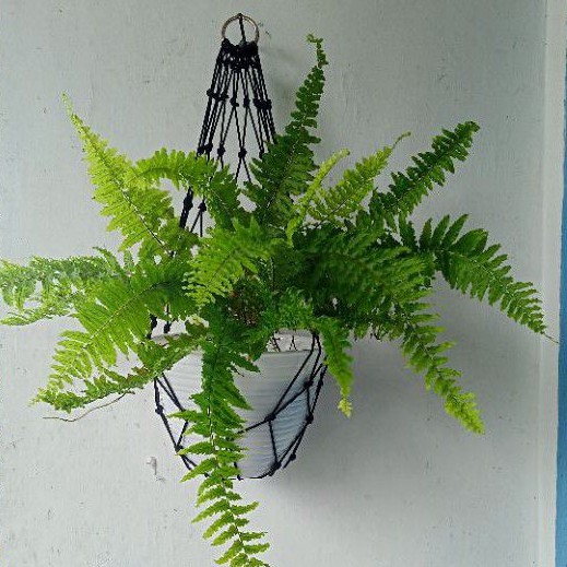 gantungan pot tali kur/tali pot gantung/hiasan dinding.