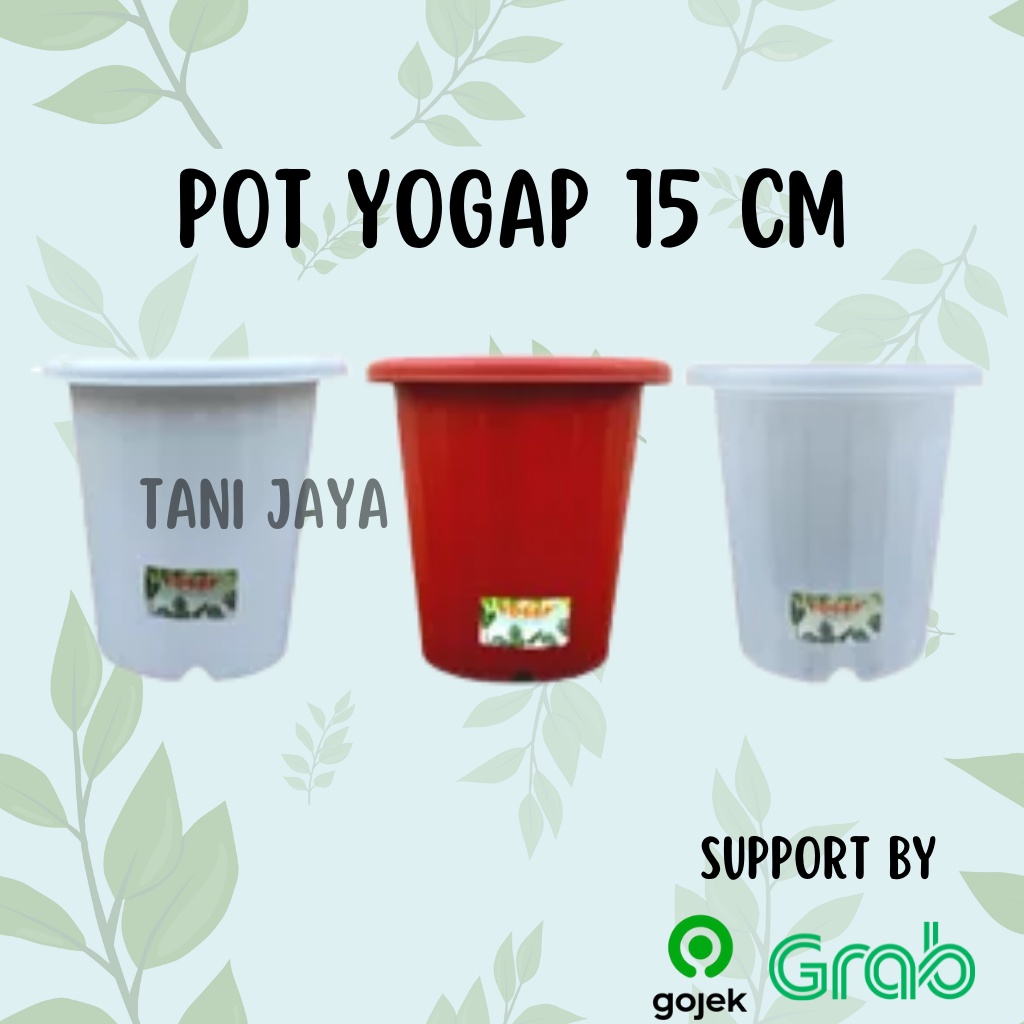 Pot Yogap 15 | Original
