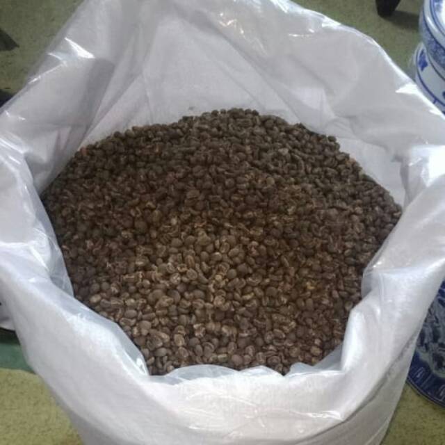 

Kopi bengkulu
