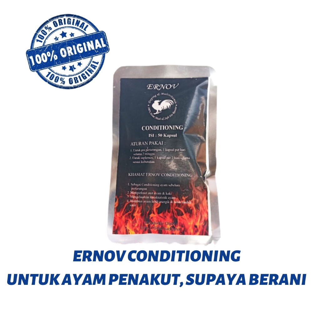 ERNOV CONDITIONING - untuk ayam penakut supaya berani