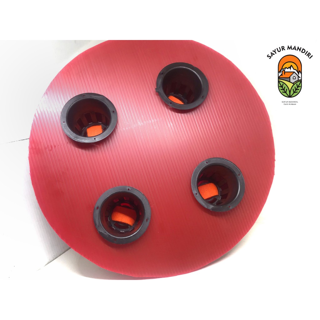 Baskom Hidroponik 4 Lubang Murah