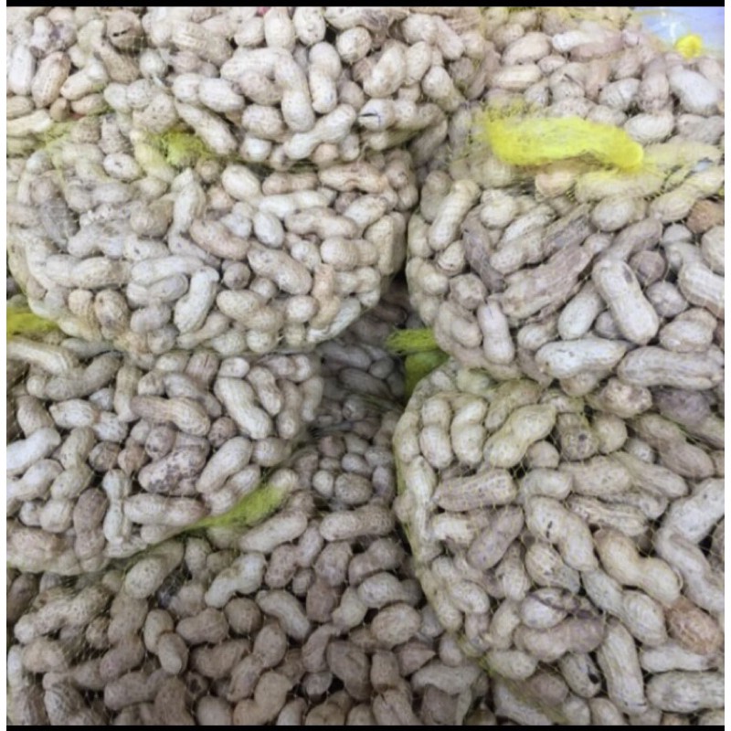 

kacang tanah mentah 1kg