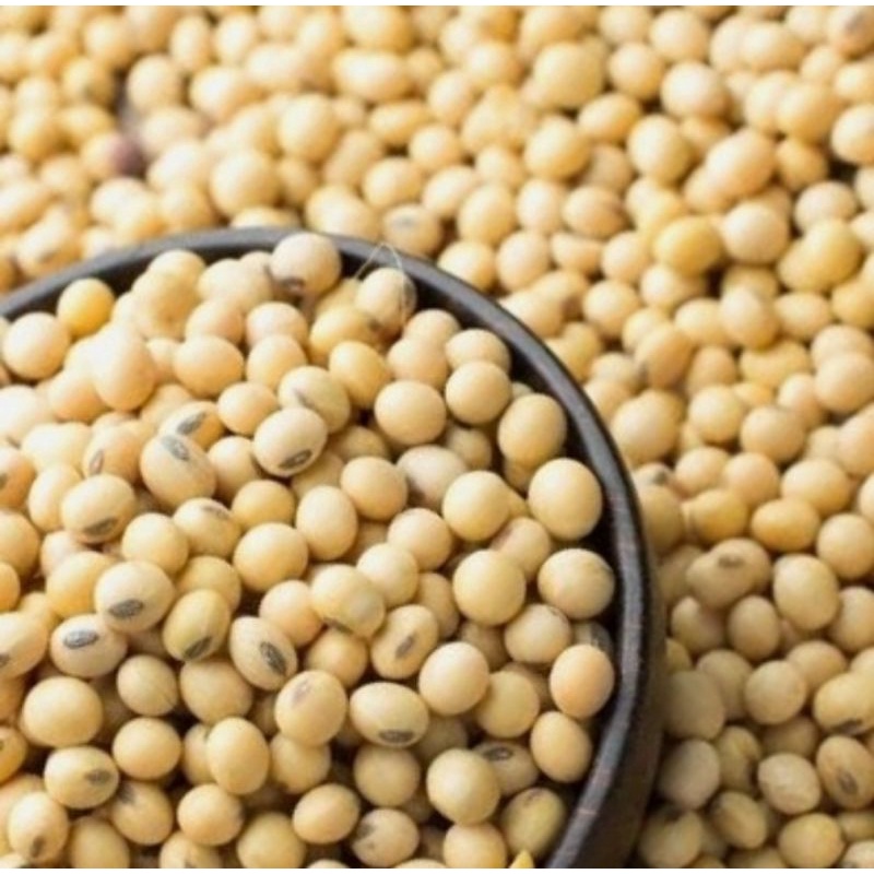 

Kacang Kedelai