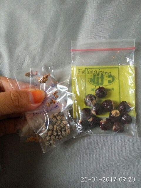 (isi 50 Biji) Cabe Merah Keriting