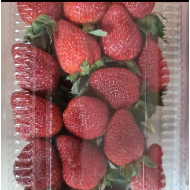 

buah stroberi lokal callybright A bandung strawberry Kelly bright Manis mpasi besar 500gr 1 kg