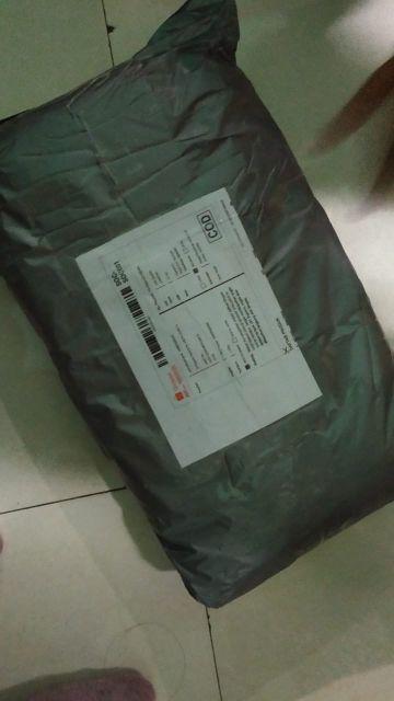 Wp Project Hiasan Dinding Walldecor Pajangan Dinding Shabby Chic Tropical Monstera