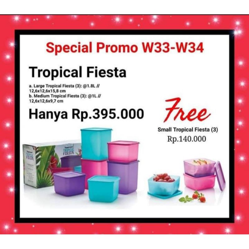 TROPICAL FIESTA TUPPERWARE FREE (9)
