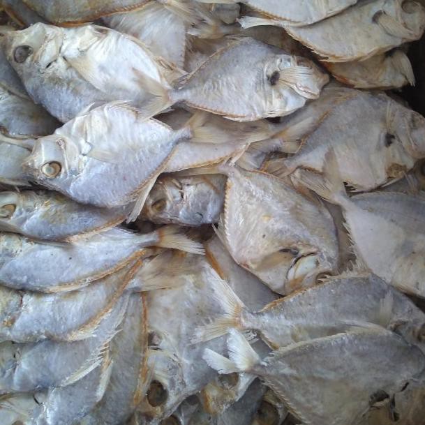 

✰ ikan Asin petek 500gr ℮