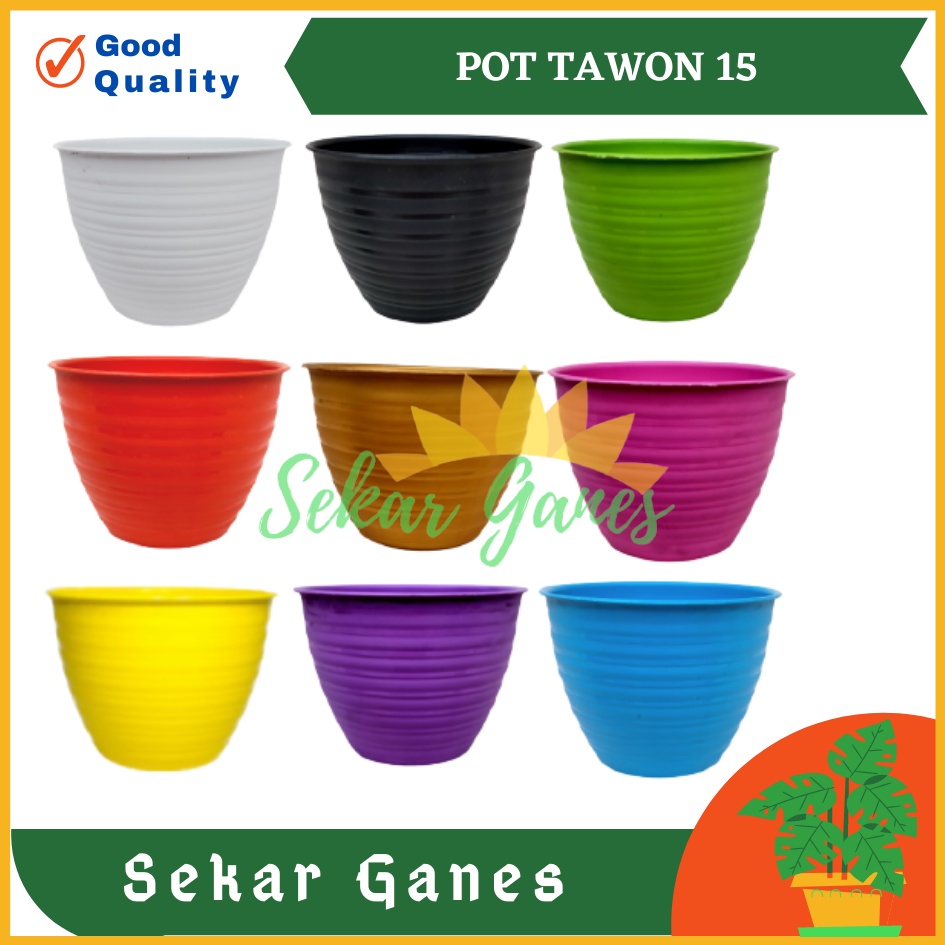 Pot Tawon Mdn Super Tawon 10 12 15 18 Pot Tawon Warna Warni Bkn Pot Tawon Putih 21 24  Tawon Pirus