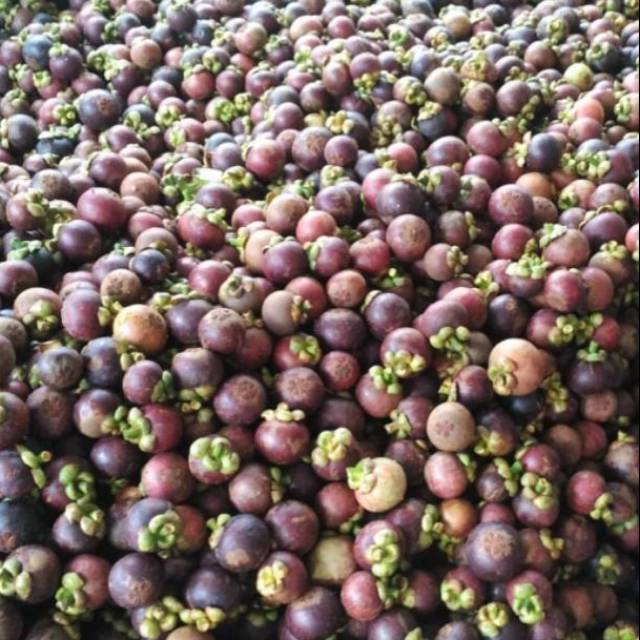 

MANGGIS CHERRY/KG