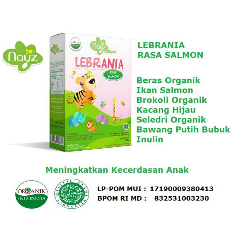 Nayz Bubur Bayi Beras Organik - 275g (Kotak)