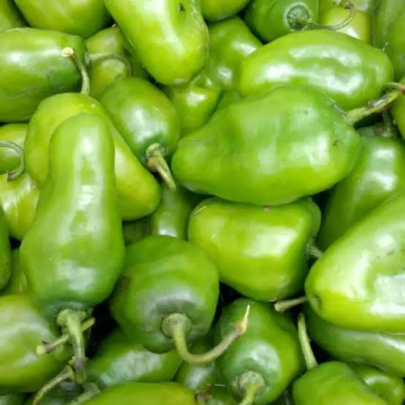 

Cabe gendot/cabe kompor hijau 1kg