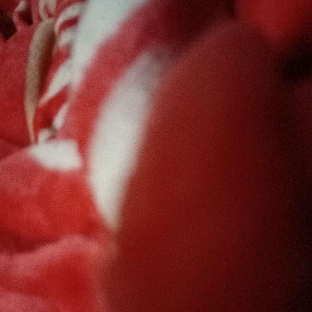 Kayu Kaso Jati Belanda 110x2.5x2cm Balok Kayu Reng Kecil (minimal 2batang)