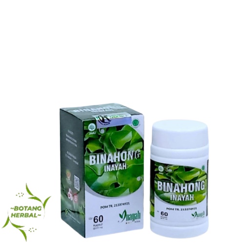 

Kapsul Binahong INAYAH BPOM / Herbal Organik alami isi 60 Kapsul ORIGINAL BINAHONG / Mengatasi ASAM URAT REUMATIK PEGALINU