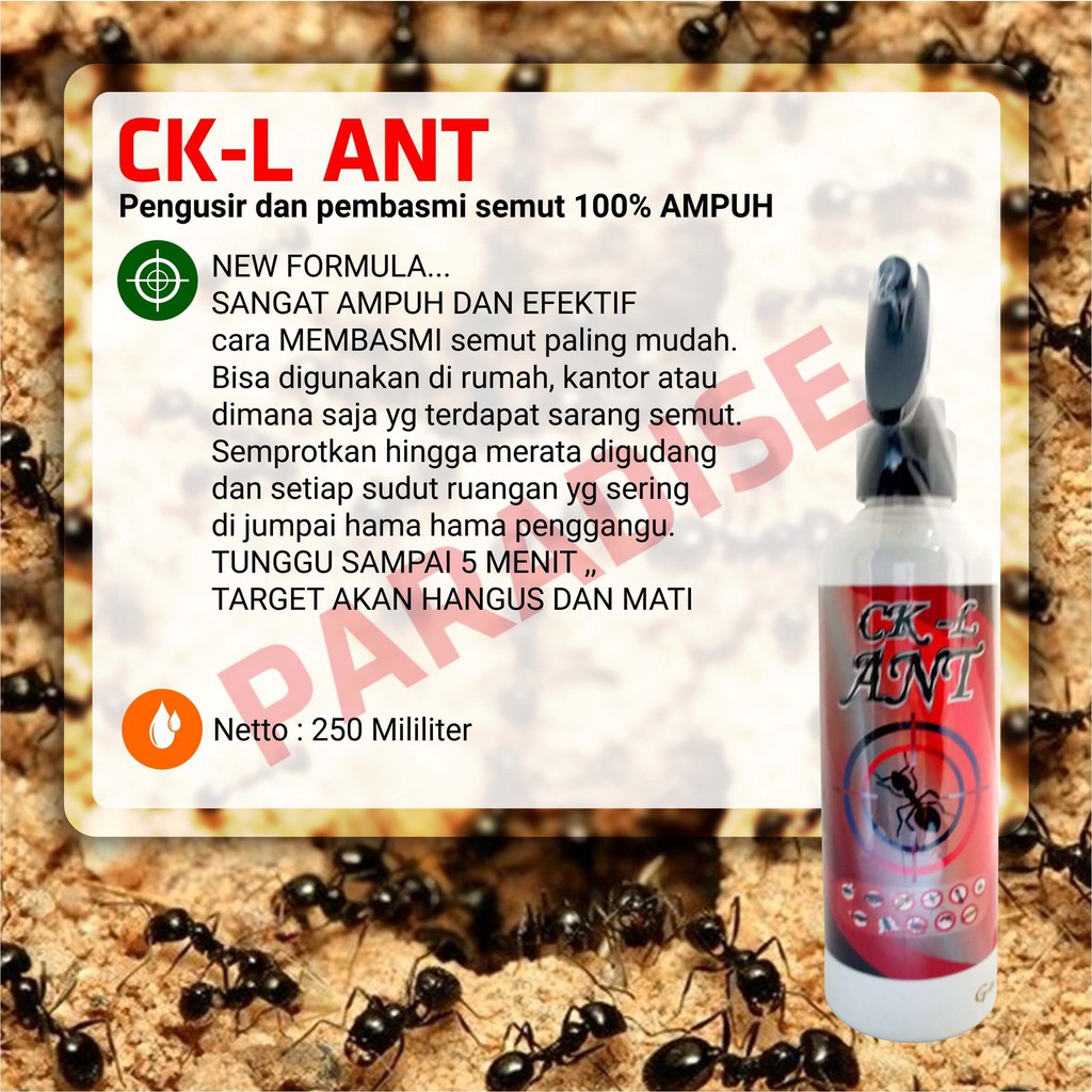 Racun Semut merah Hitam Paling Ampuh semprot Untuk Mobil pengusir semut OBAT SEMUT CK-L ANT 250 ml