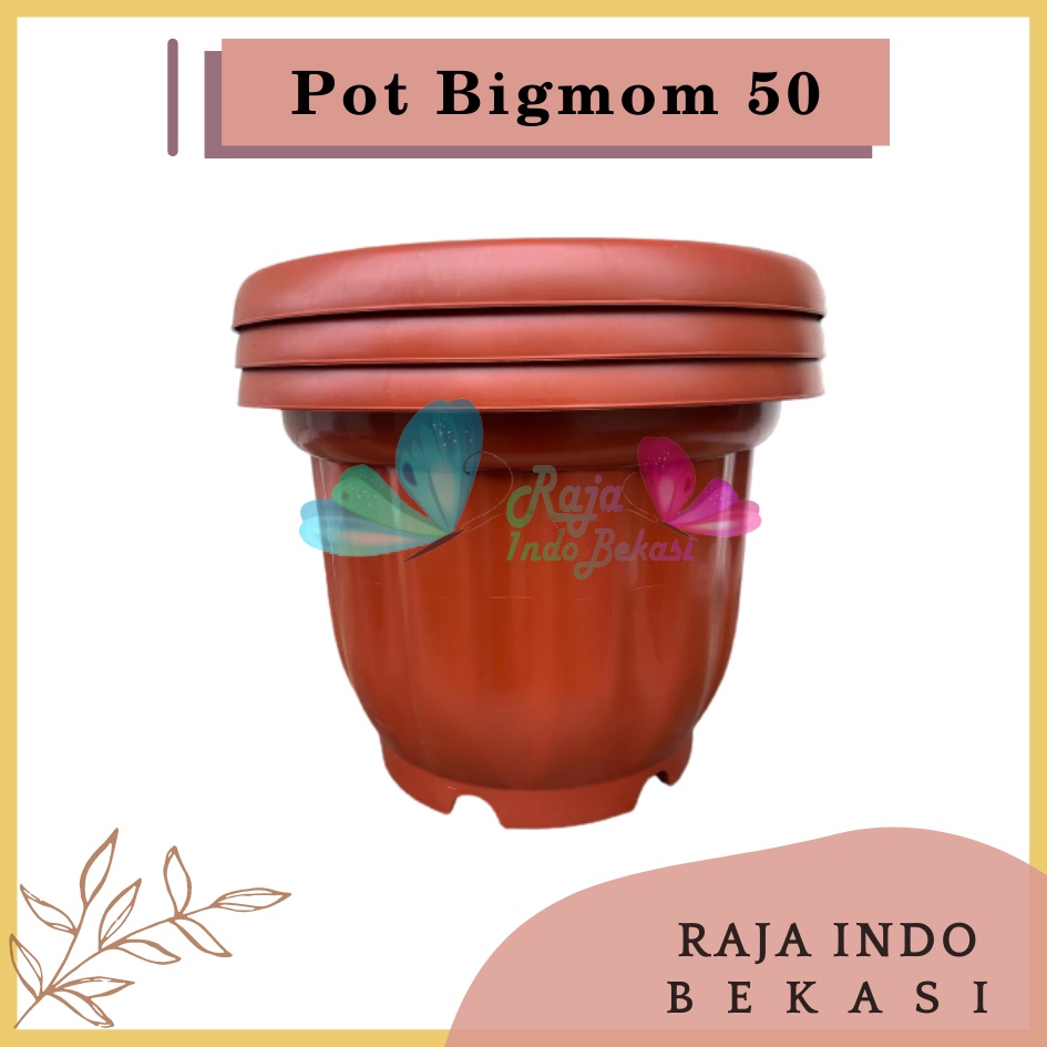 ONLY SAMEDAY AND INSTAN Pot BIGMOM 50 Putih Hitam Merah Bata Merah Coklat Terracota Terracotta  - Pot Besar Jumbo 50cm Pot Besar Plastik Bahan Tebal - Pot Besar Jumbo 100cm 50cm 40cm Putih Tinggi Hitam