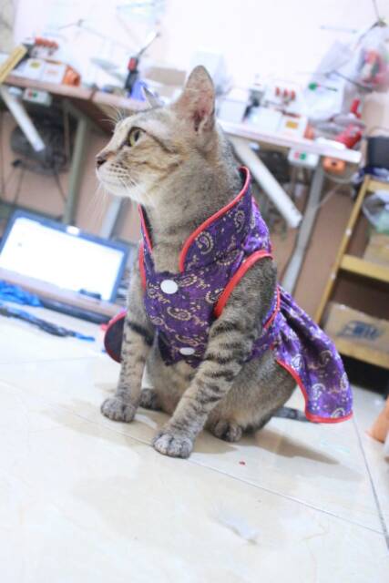 Dress chongsam ungu imlek 2019 untuk kucing dan anjing size S M L XL