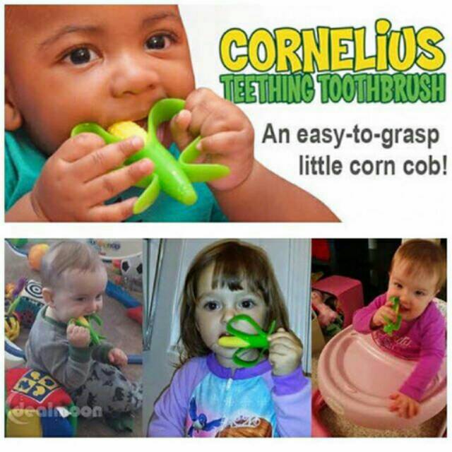 BABY BANANA CORNELIUS CORN 100% ORIGINAL ASLI