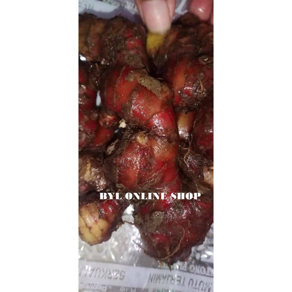 

JAHE MERAH READY