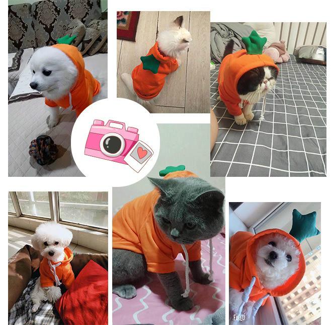 ★〓YUFeiPet〓★ Spring and Summer Cartoons Cute Fruit Pattern Pet Jacket Suitable for Chihuahua Bichon Small and Medium Pet Dog Clothes