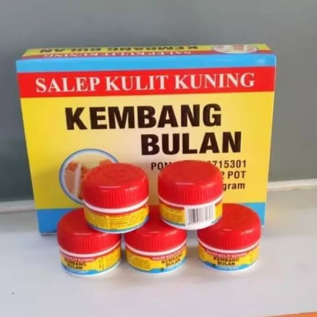 

Salep kulit kuning kembang bulan