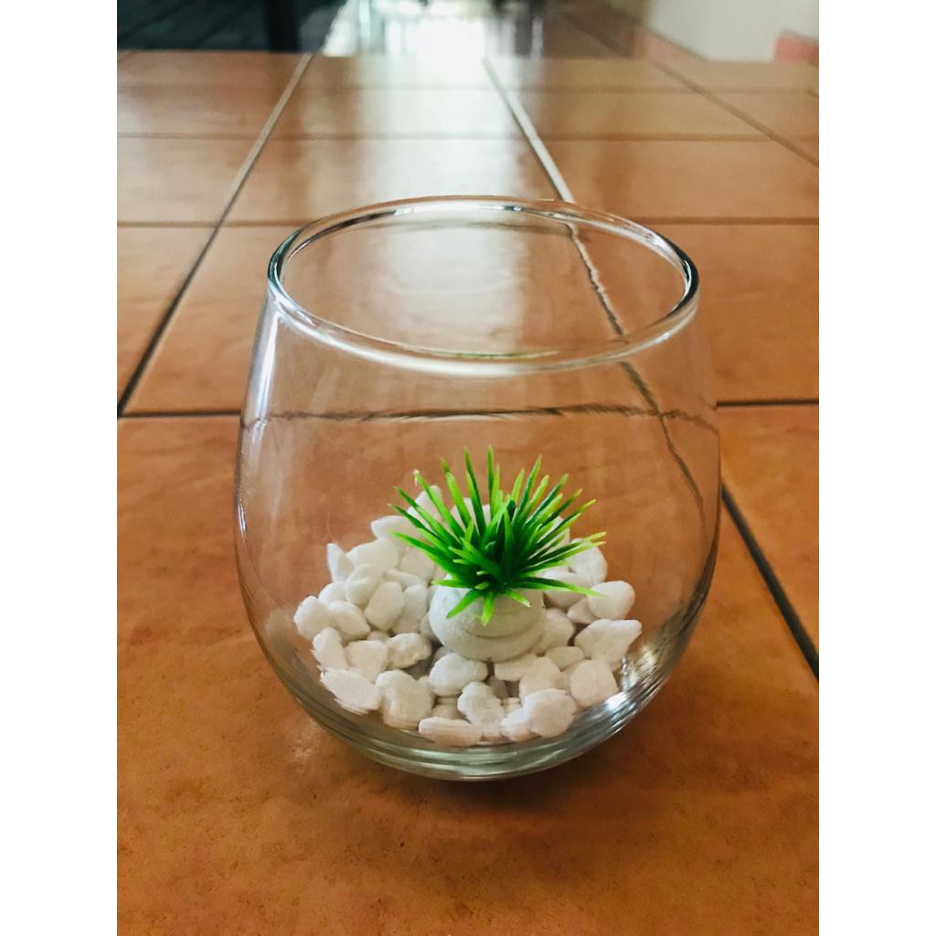 Akuarium Mini