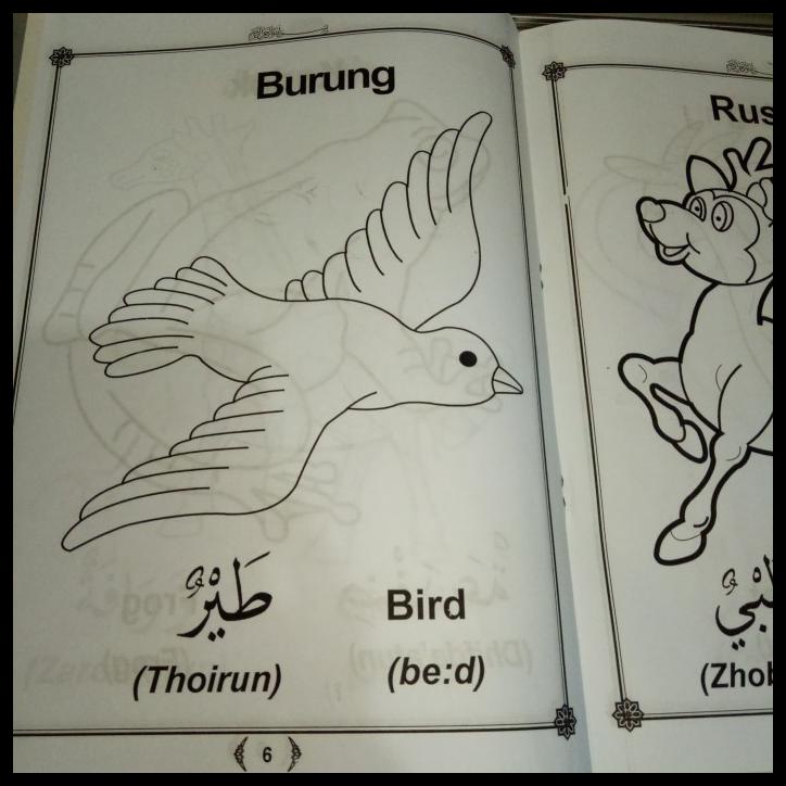 

Buku Mewarnai Binatang, Dan Belajar Bahasa Inggris Arab