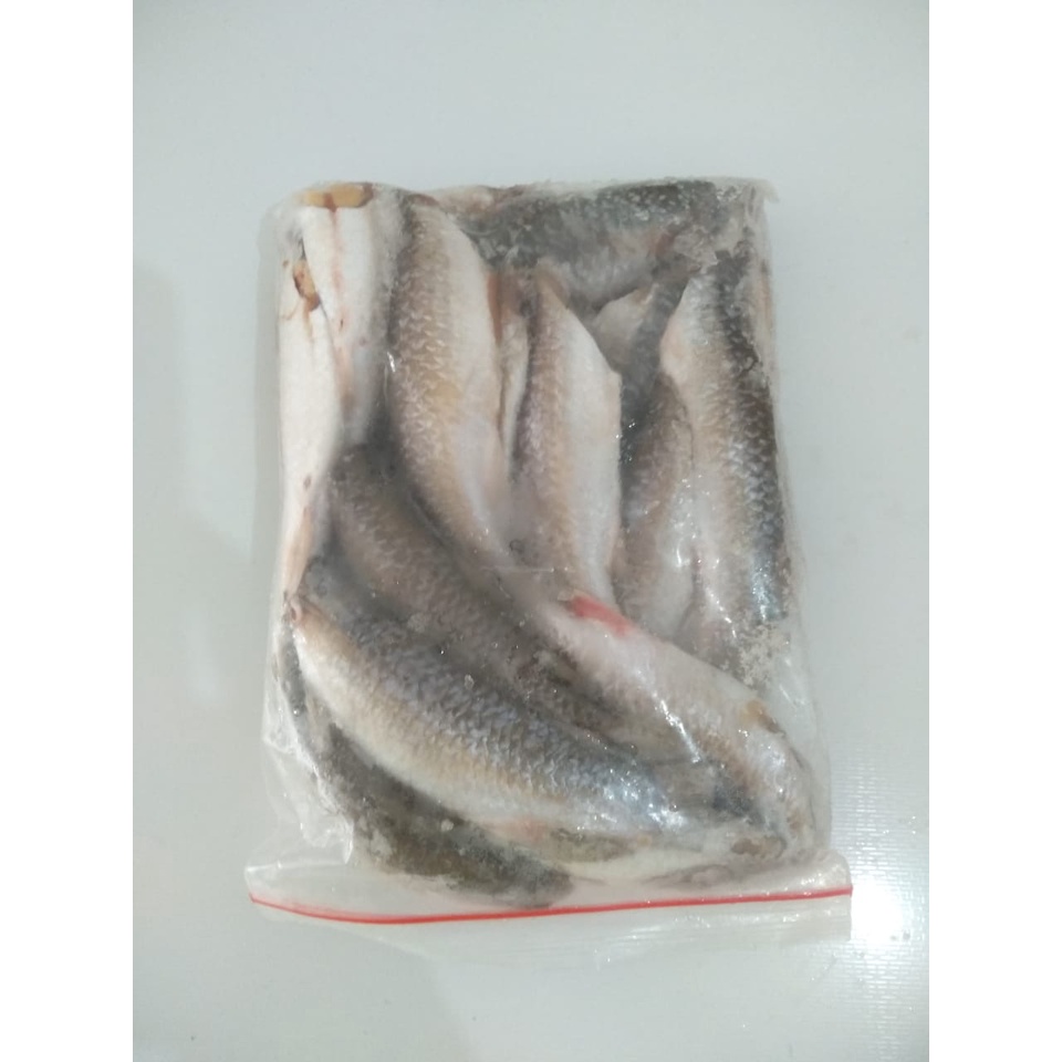 

Ikan belanak / ci a he seafood / riau / bagan